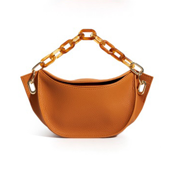 Turtle Pattern Acrylic Chain Handbag