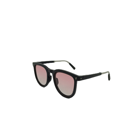 Foldable Sunglasses